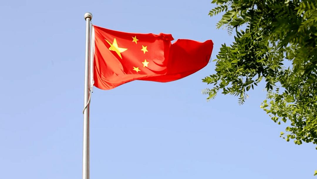 植物大战僵尸21